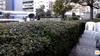 Al&amp;mdash; 梅泽美波  足交